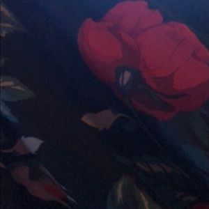 Meet your Posher, Sandy